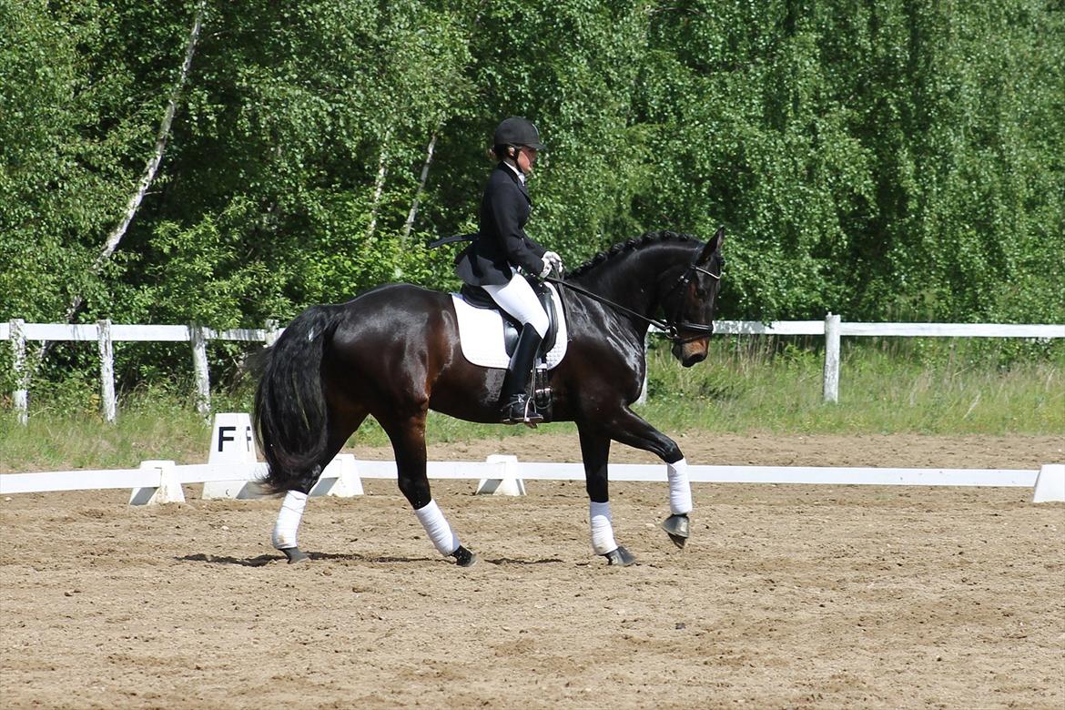 Oldenborg Calvino Langmose  billede 17