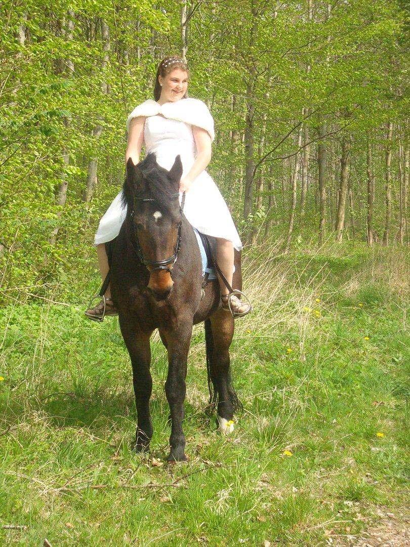 Fuldblod (XX) Smokey  - mig og smokey, til min konfirmation.  billede 2