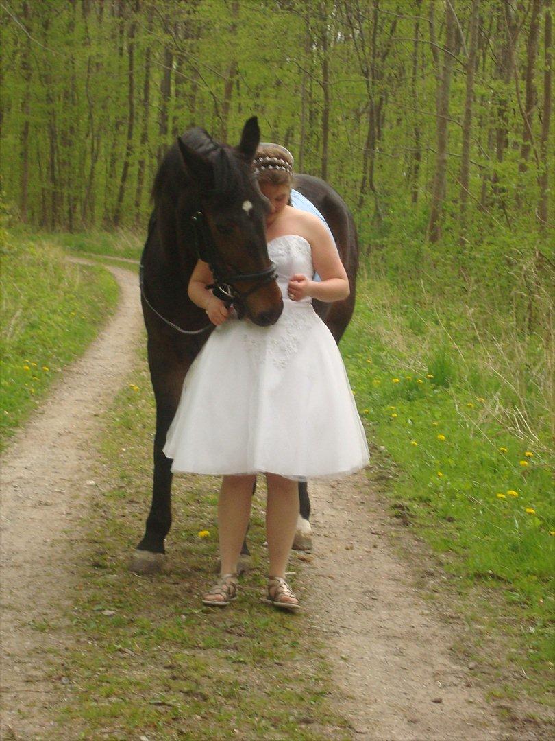 Fuldblod (XX) Smokey  - mig og min prins smokey til min konfirmation.  billede 3