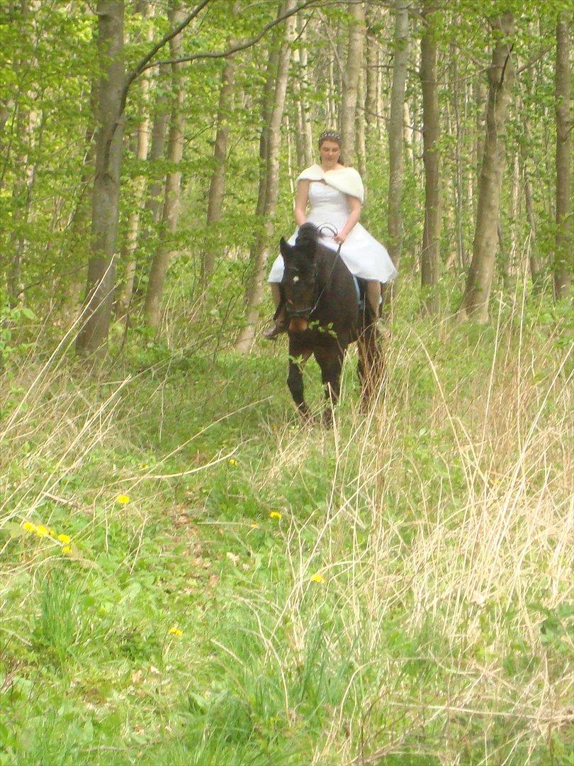 Fuldblod (XX) Smokey  - mig og min prins smokey, til min konfirmation.  billede 4