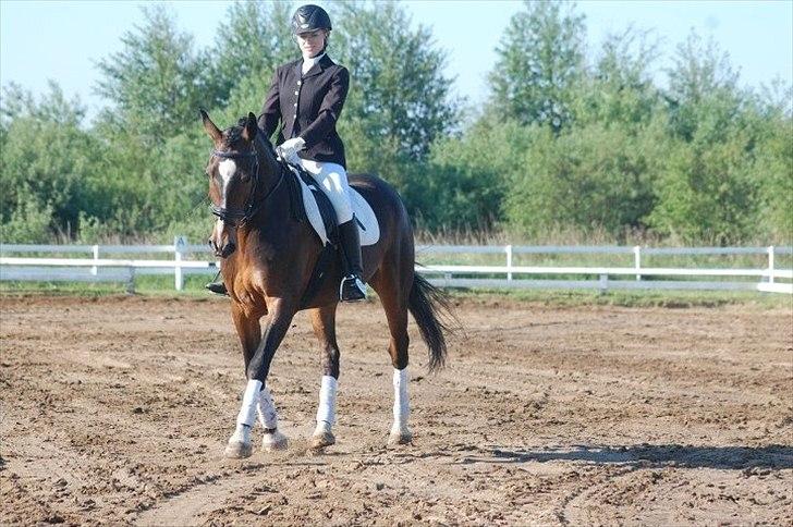 Anden særlig race A'strix - //Foto: Annika Larsen// Jetsmark LC2 d. 27/5 2012 billede 16