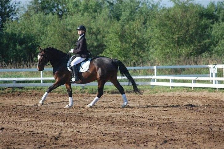 Anden særlig race A'strix - //Foto: Annika Larsen// Jetsmark LC2 d.27/5 2012 billede 17