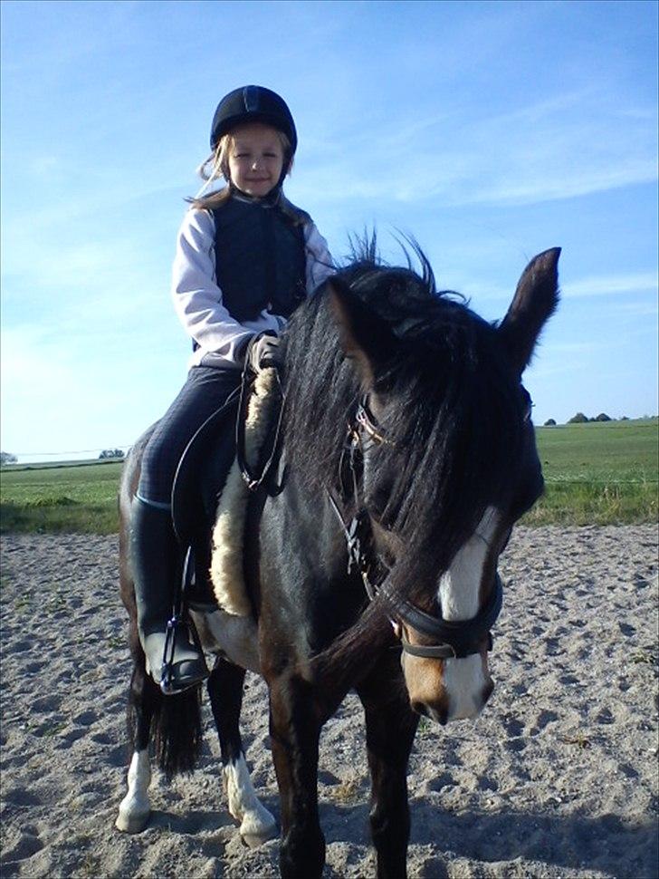Welsh Pony (sec B) Lyngvejens Malu - da jeg er ude at prøve min smukke<3 billede 8