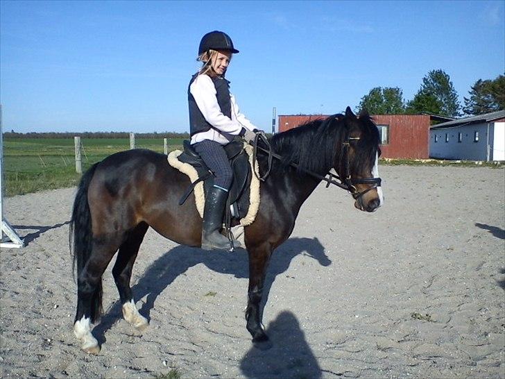 Welsh Pony (sec B) Lyngvejens Malu - super smuk pony:) billede 10