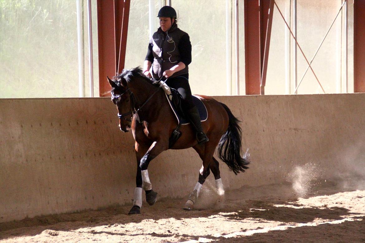 Oldenborg ROSENGÅRDENS CALIOPI - Lerbækhus - maj 2012. billede 16