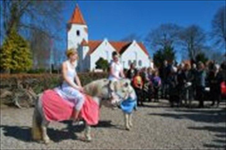 Anden særlig race Hvide<3 - Hvide og Musse kysser <3<3
-Konfirmation 5/4 2012 <3<3 billede 1