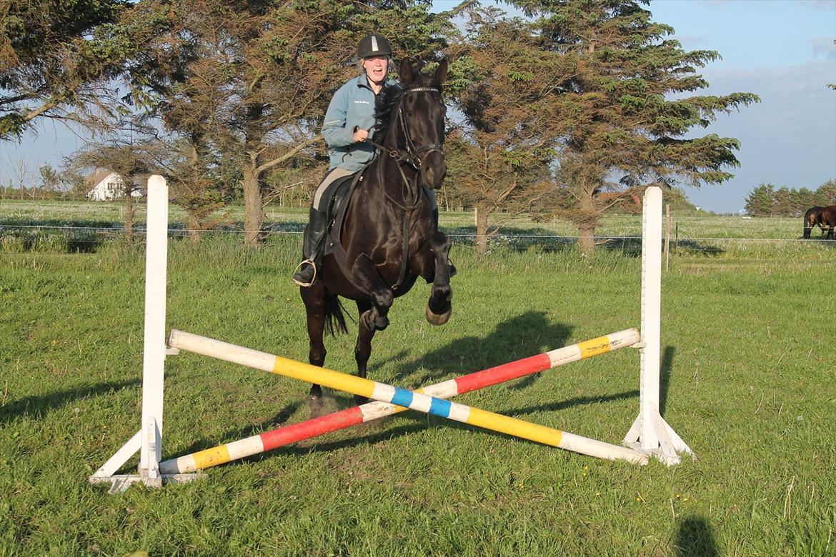 Pinto Thor<3 billede 8