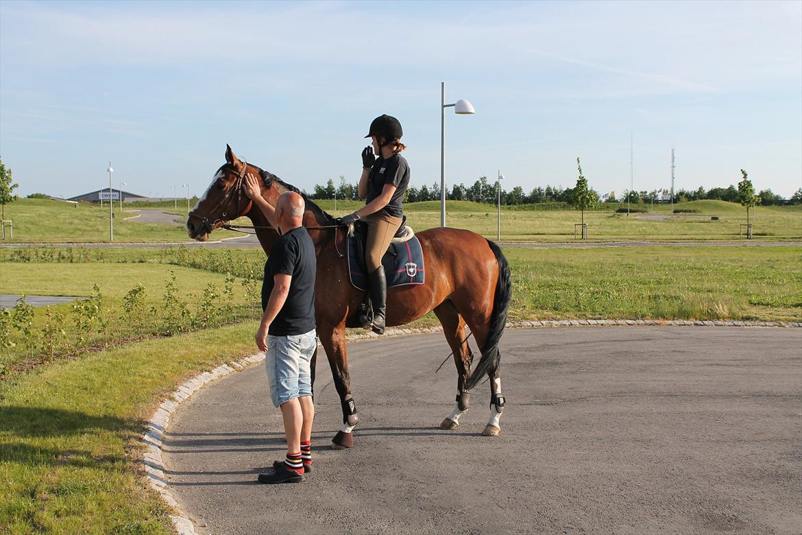 Anden særlig race Atletica - Første gang vi red hjem :) - også med den gamle dressursadel billede 16