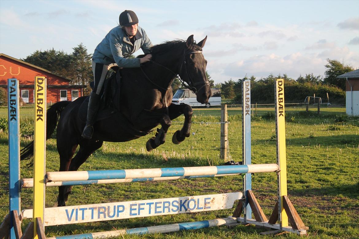 Pinto Thor<3 billede 13