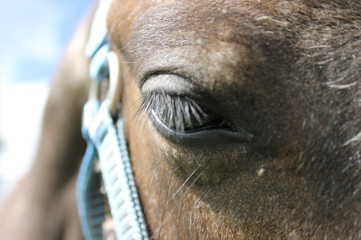 Anden særlig race ~Mister Surprise~ **romkulgen** - his eyes, make the stars look like they're not shining<3 billede 5