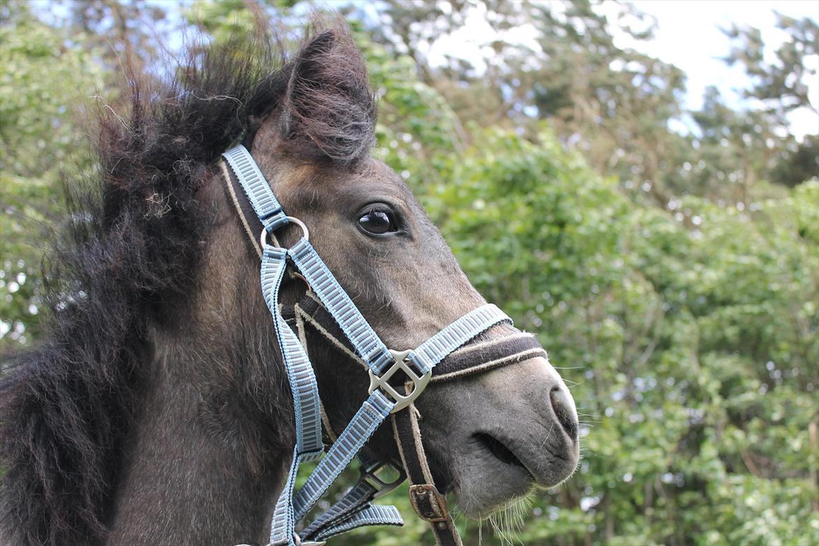 Anden særlig race ~Mister Surprise~ **romkulgen** - Baby I love you and I'll never let you go, but if I have to, boy I think that you should know. All the love we made can never be erased, and I promise you that you will never be replaced.“ billede 6