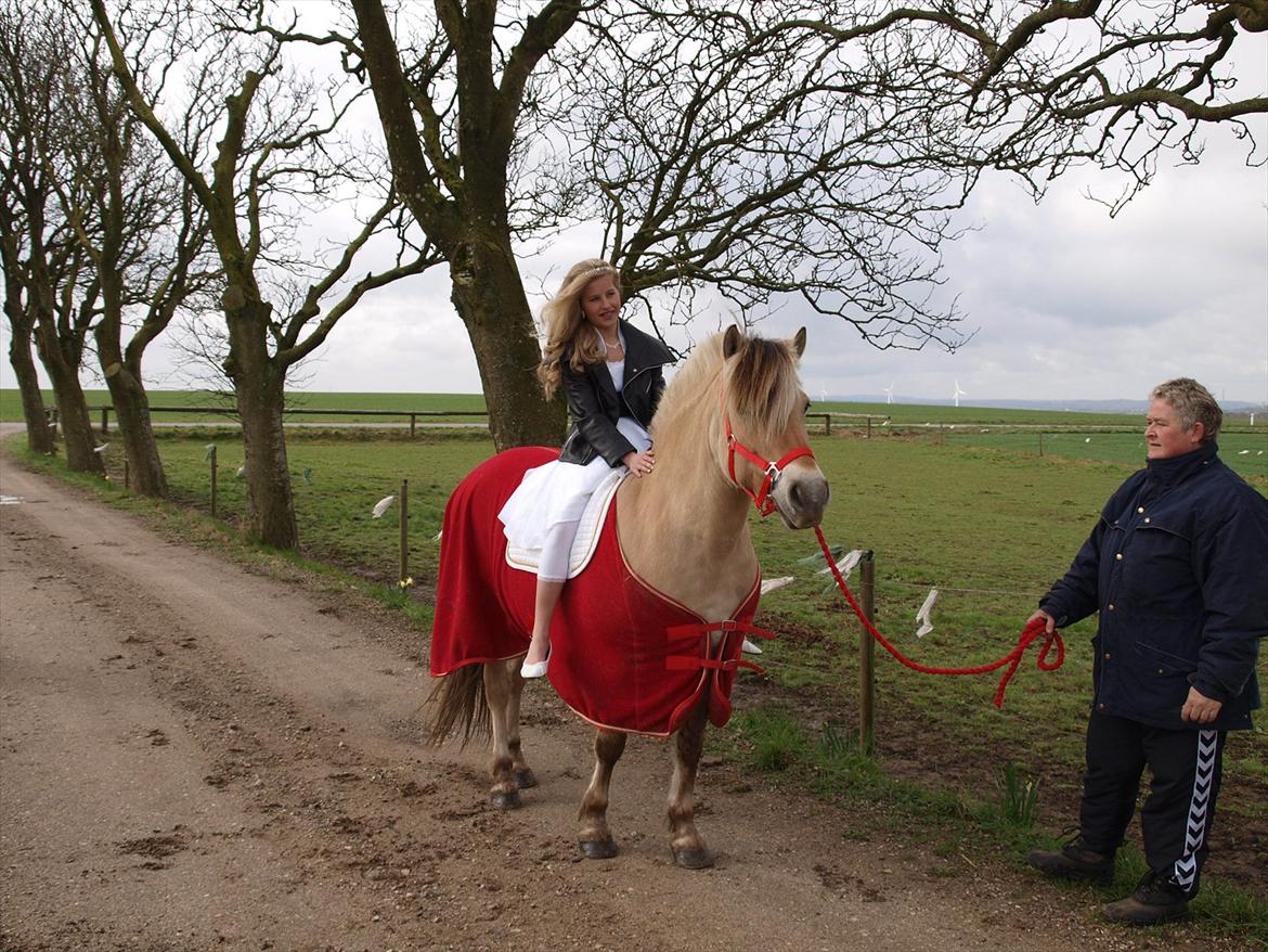 Fjordhest Siri Kaptain (stjernen) (  var min låne Hest)<3 - Siri til min Komfirmation den 15/04 2012, jeg skulle have taget billeder på hende<33:-)...NYT billede 2