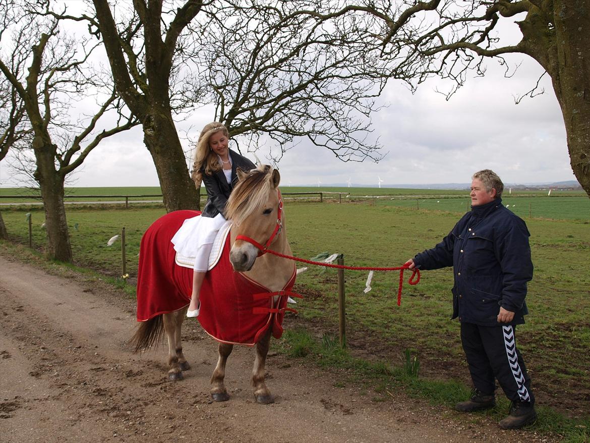 Fjordhest Siri Kaptain (stjernen) (  var min låne Hest)<3 - Siri til min Komfirmation den 15/04 2012, jeg skulle have taget billeder på hende<33:-)...NYT billede 3