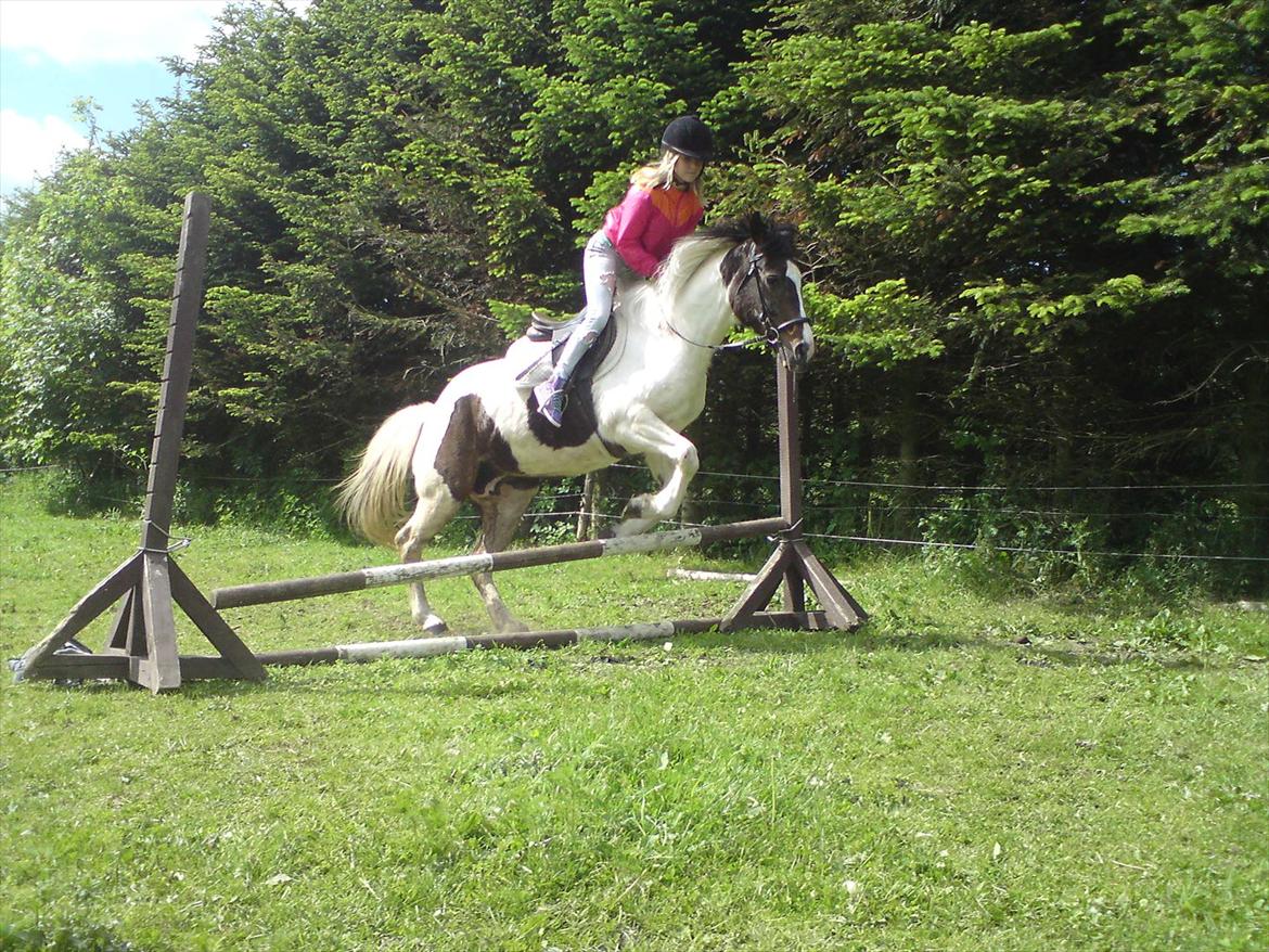 Pinto Kezia billede 11