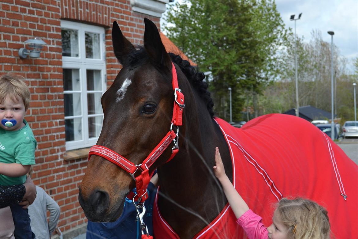 DSP Darling (Prinsessen<3) - Åhhhhh <3 Dalle kom til min konfi hun var så populær blandt alle de 25 børn <3<3<3 grad og grad og atter grad da hun kom <3 blev så glad <3 billede 4