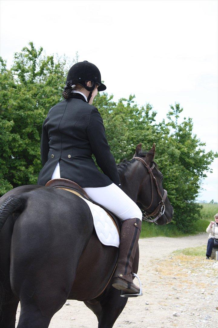 Quarter San Par Vision billede 6