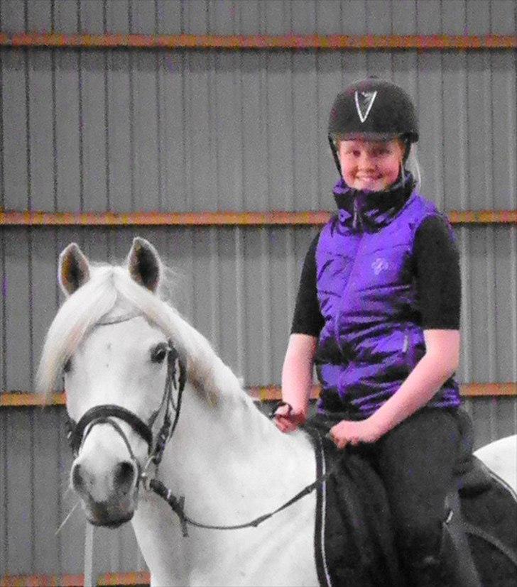 Anden særlig race Wendy * B-pony * - <3 billede 2