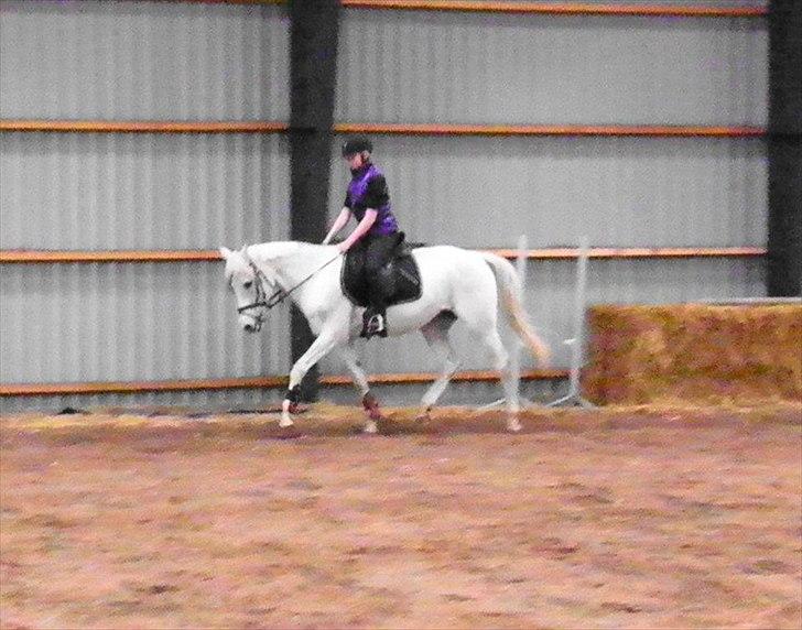 Anden særlig race Wendy * B-pony * - <3 billede 5