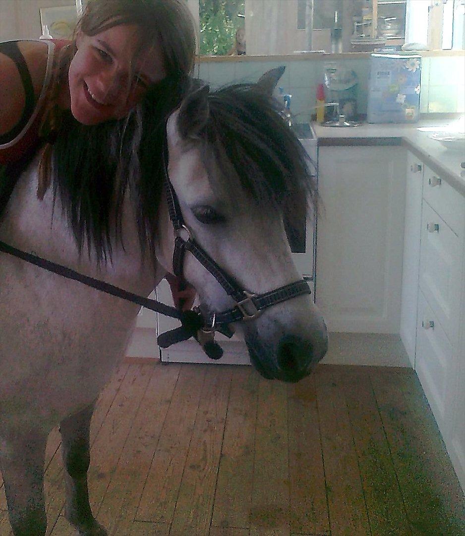 Anden særlig race Star - feriepony - Når vi leger Pippi i sommerhuset:D billede 11