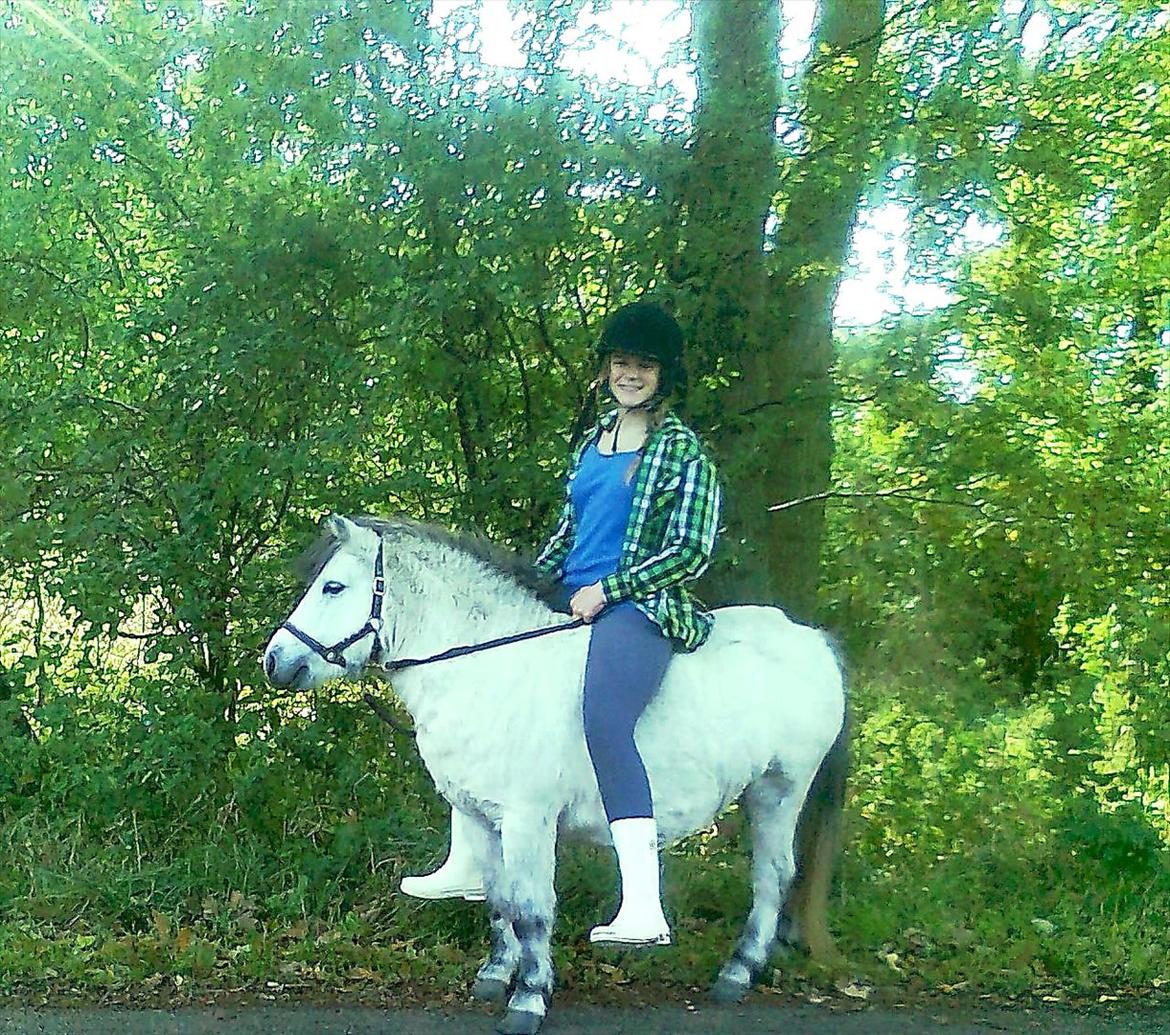 Anden særlig race Star - feriepony - På en hyggelig og rolig tur med min søster. billede 12