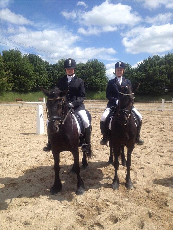 Fell pony Bakkely's Bella *Prinsessen* SOLGT:'( - Fra venstre: Bakkely's Stella og Sara Brix, Bakkely's Bella og Nina Hjorth (Mig) billede 5