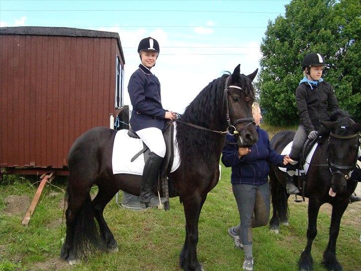 Fell pony Bakkely's Bella *Prinsessen* SOLGT:'( - No hour of life spent in the saddle is Wasted!!<3

Bella og jeg til vores første stævne<3 Min lille "Mini Frieser"<3<3 billede 2