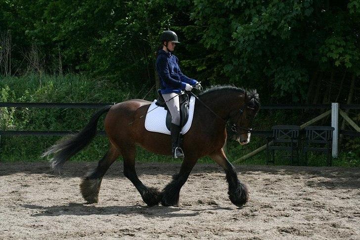 Tinker Valentins Emma - Træning 2/6-12 billede 1