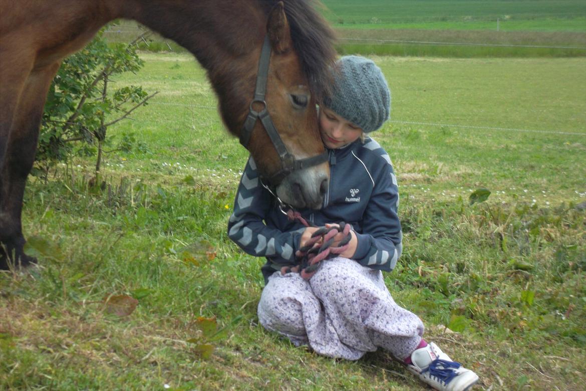 Dartmoor Viktor lund billede 12