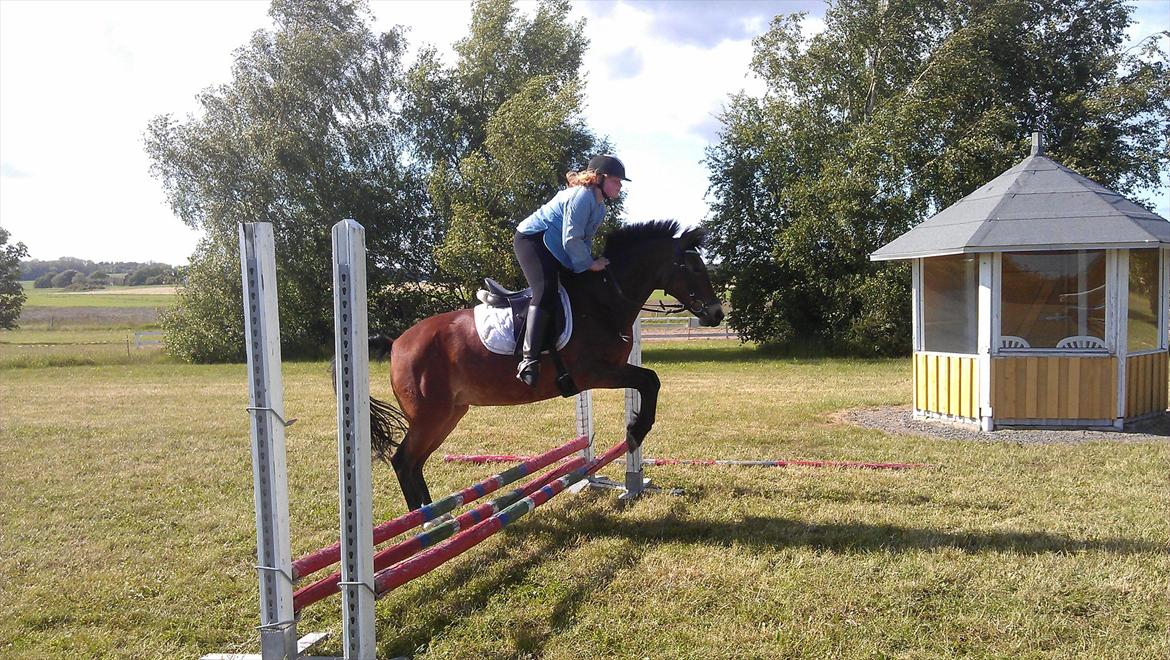 Anden særlig race Bitteby's Tulle.  - Springtræning d. 5 juni 2012 :)
Os over en oxer på 50 cm.
Undskyl min holdning, jeg sprang i en dressursadel. billede 18