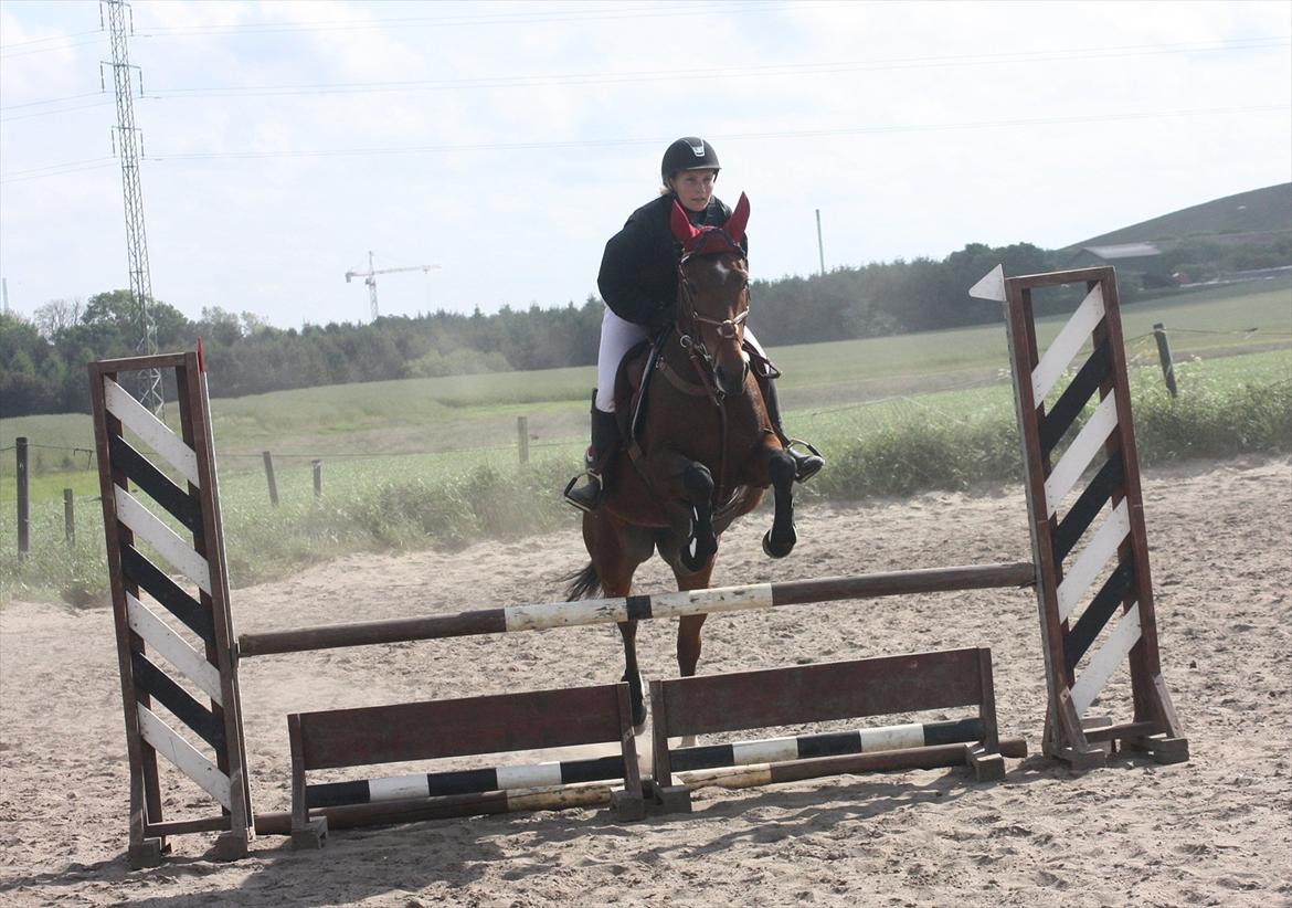 DSP Shamrocks Massa E Cozzile - Springstævne d. 5/6 2012 LC billede 6