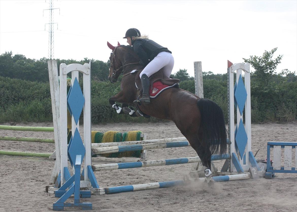 DSP Shamrocks Massa E Cozzile - Stor stil i LD billede 12