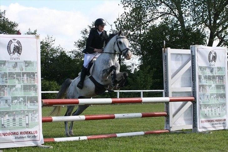 Anden særlig race Fandango (springer ) billede 16