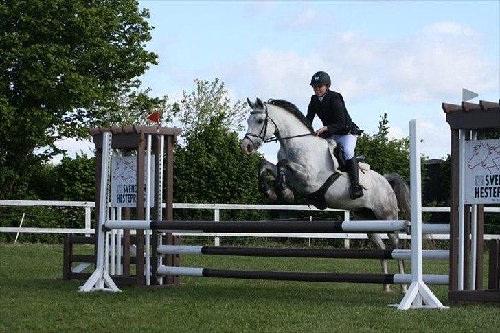 Anden særlig race Fandango (springer ) billede 17