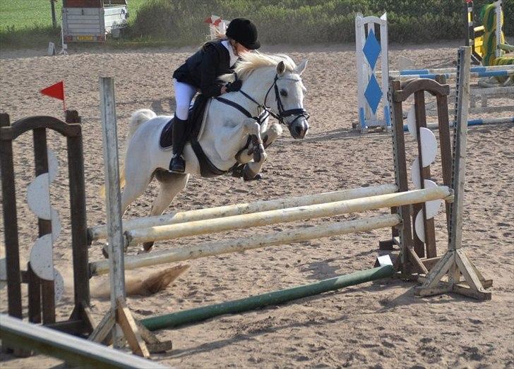 Connemara Vimmelgårdens Coco <3 - LA** i Bryndumdam 2. plads !:-)
Taget af Emma Hostrup billede 6