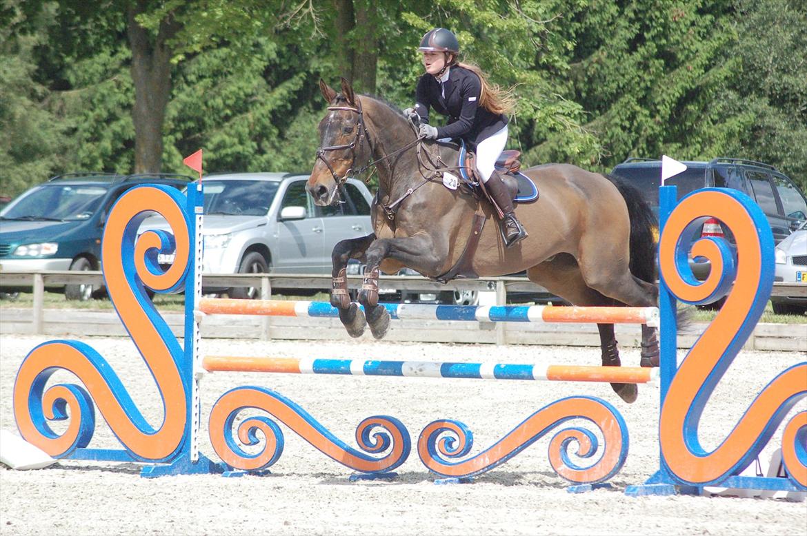 Hannoveraner Dirty (Døtse) - Dirty 24 år, Horse House Cup til Riders Cup juni 2012 billede 19