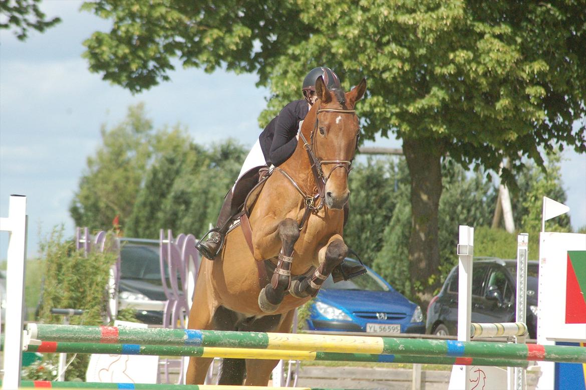 Irsk Hunter Kilcannon Clover (Kylle) - Riders cup juni 2012 billede 19