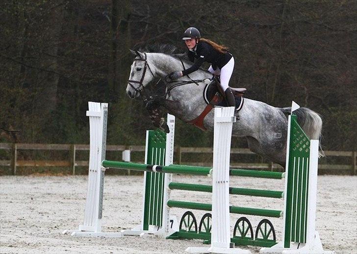 Dansk Varmblod Rådbjerg's Corra - Riders cup april 2012 billede 20