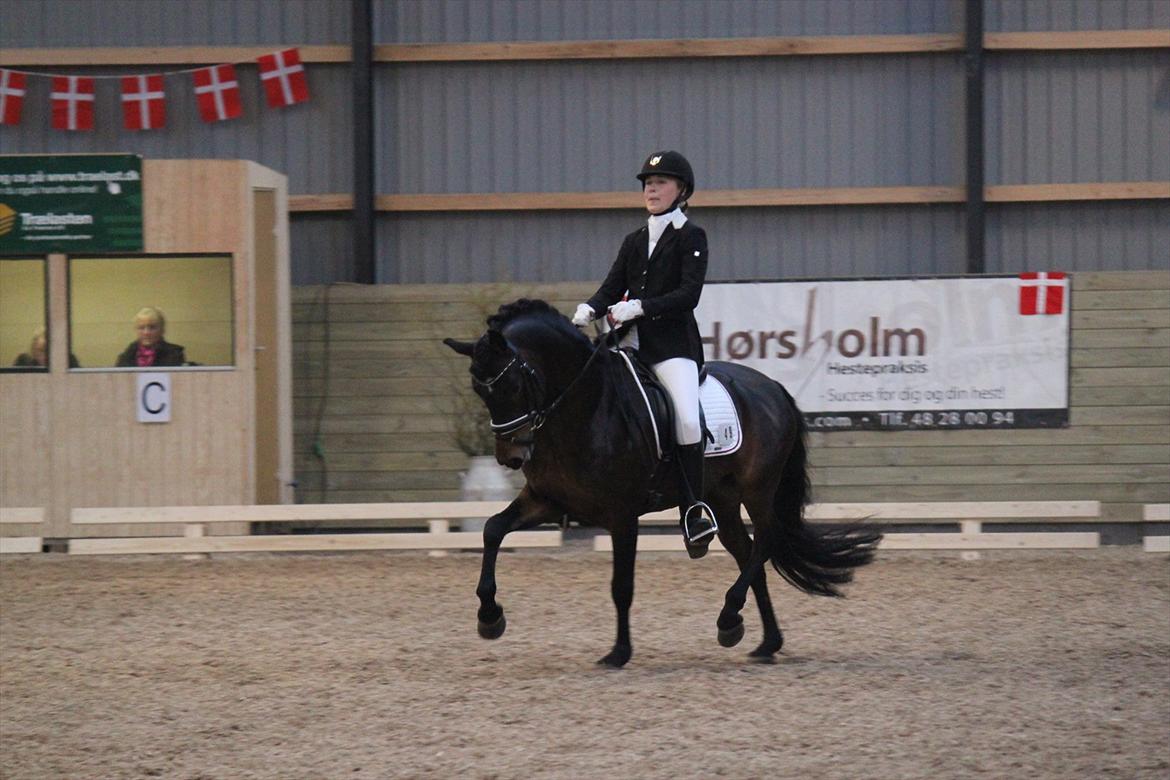 New Forest Lundemarksgårds Layout billede 4