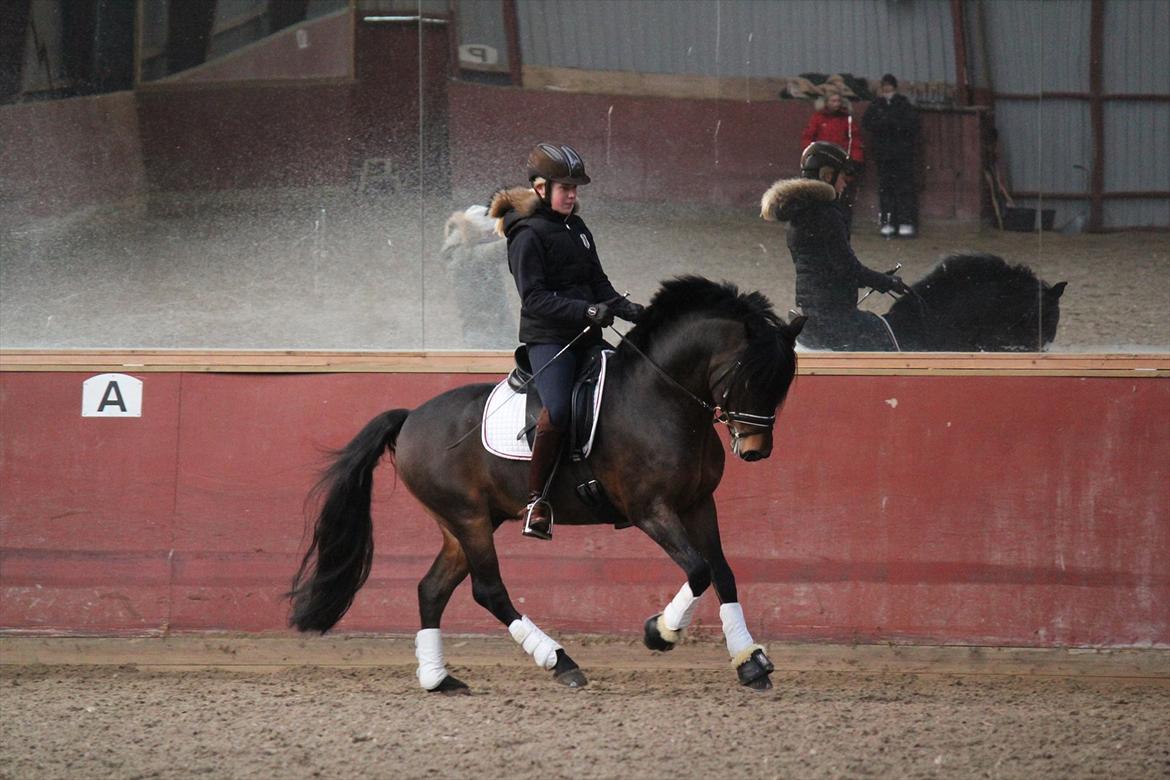 New Forest Lundemarksgårds Layout billede 9