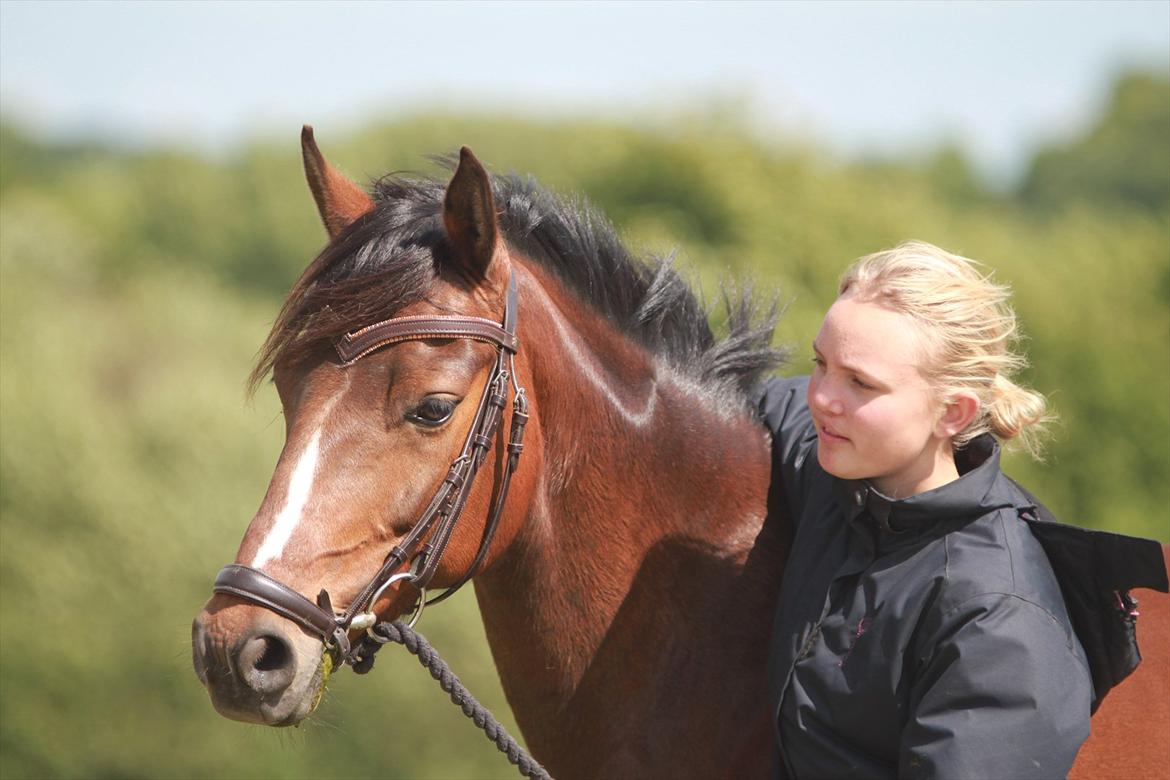 DSP Stidsbjergs Chanie billede 2