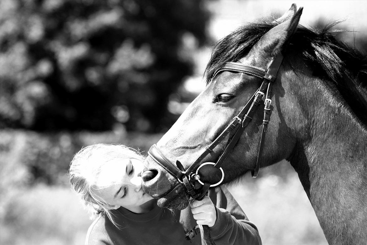 DSP Stidsbjergs Chanie billede 4