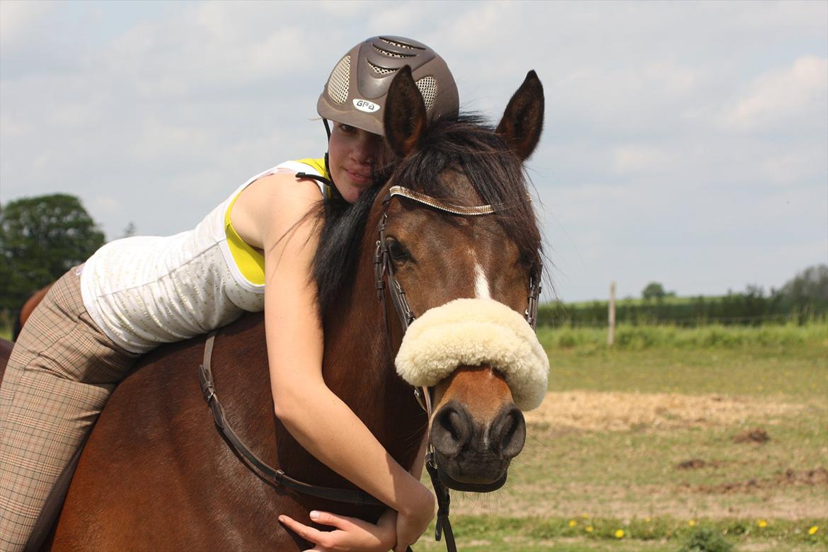 DSP Stidsbjergs Chanie billede 12