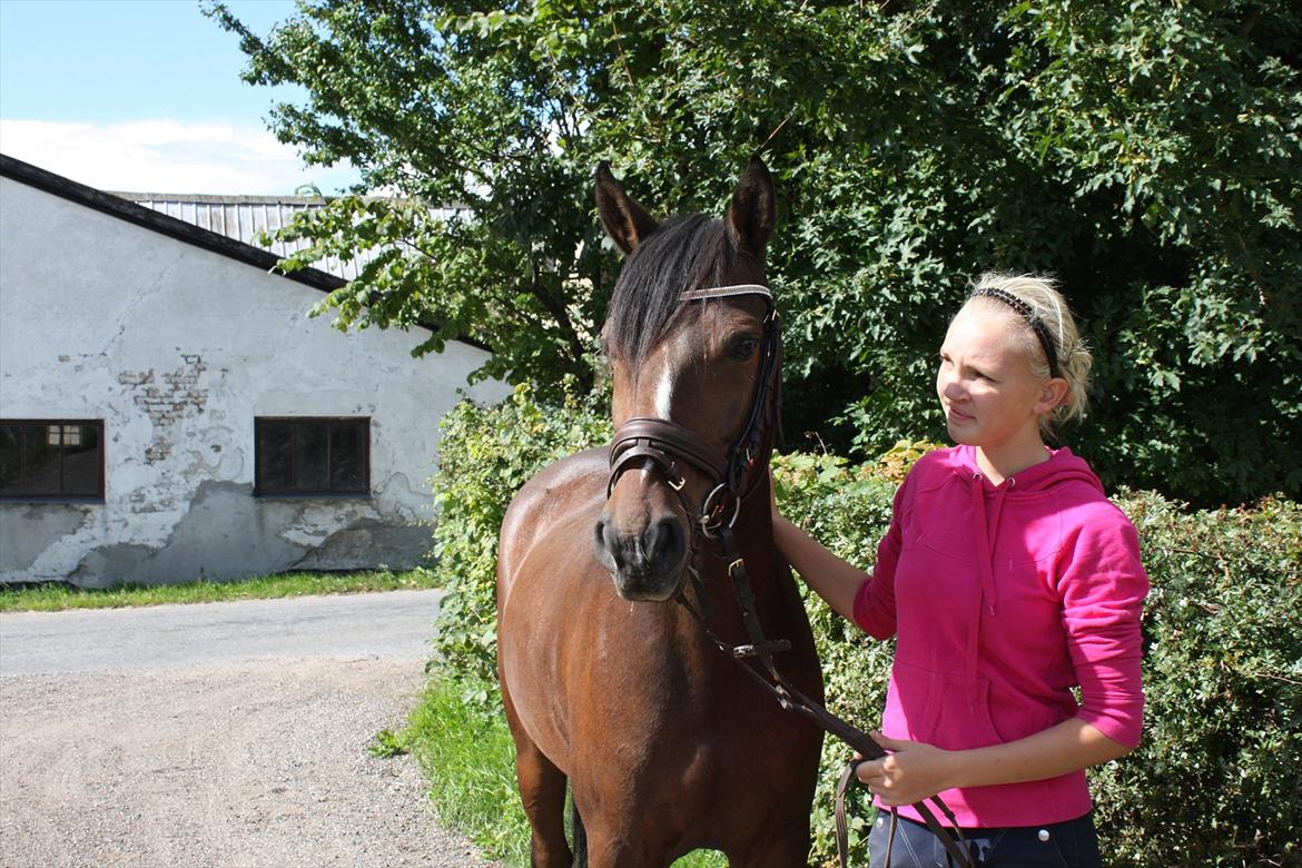 DSP Stidsbjergs Chanie billede 16