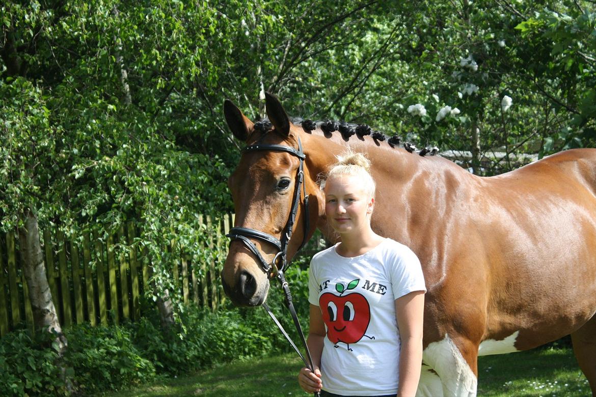 Pinto Bagergårdens Zindy - Velkommen til min profil :D billede 1