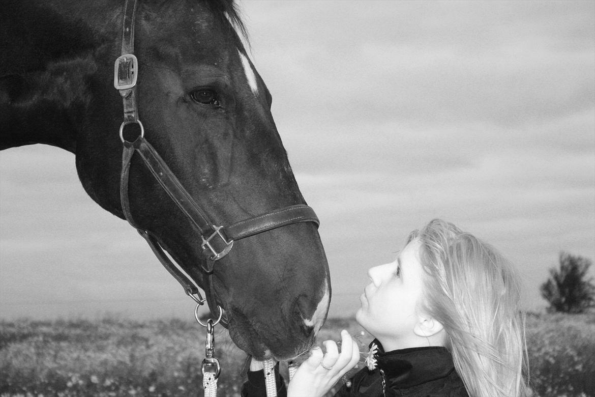 Oldenborg Emma (Dot) Hestbækgård - +*.Only you know my deepest feelings  
All i ever wanted , all i ever needed,is here in my arms.*+<3 billede 22