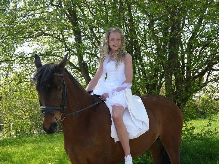 DSP Cassidy - Min mus på min konfirmation d. 5/5 2012! Hun gjorde bare dagen endnu mere fantastisk! <3 billede 13