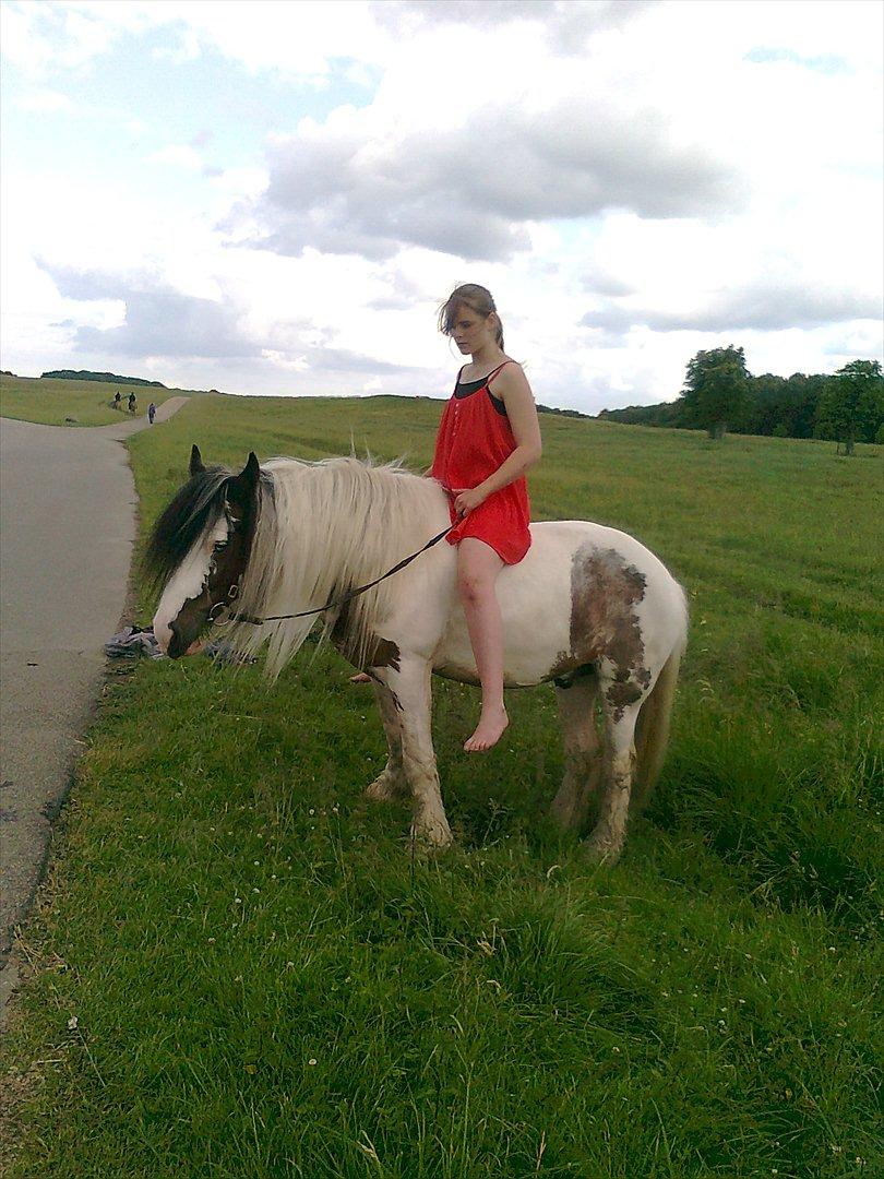 Irish Cob             Billy the kid - Fordi vores bånd var ubeskriveligt! billede 10