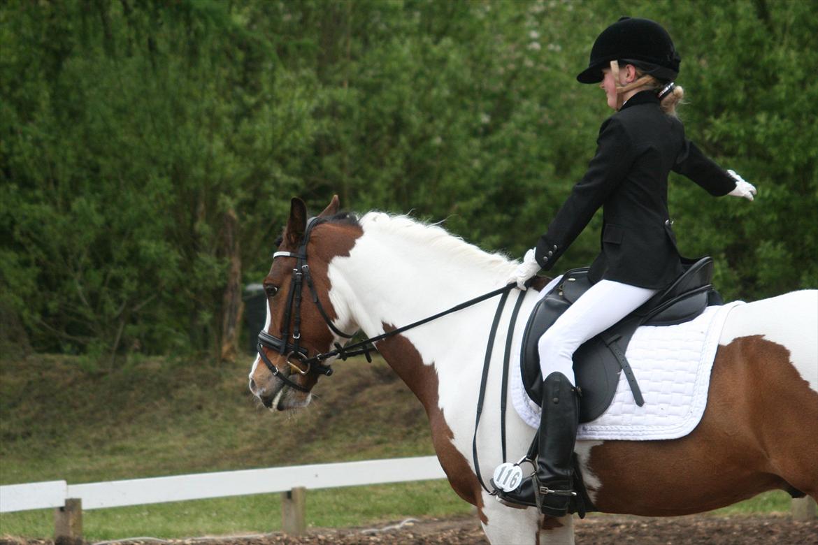 Hollandsk Sportspony Pinkster (Nemo)  - hilser af morsø 2012 you are the best billede 18
