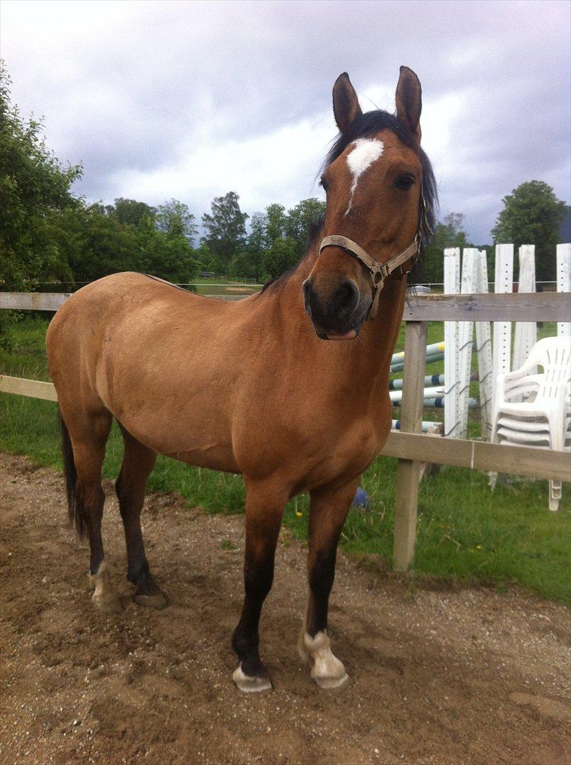 Anden særlig race Luna - Det smukke dyr :*
 billede 5