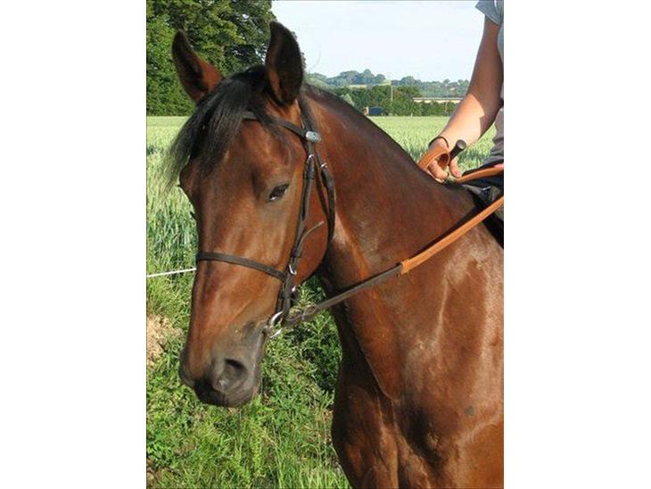 {{currentPhoto.altText}} billede {{currentPhoto.number}}